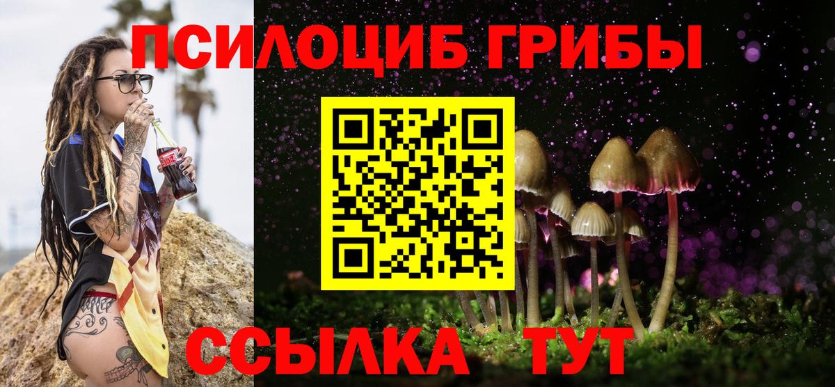 Галлюциногенные грибы Psilocybe  Вход с VPN  Омск 